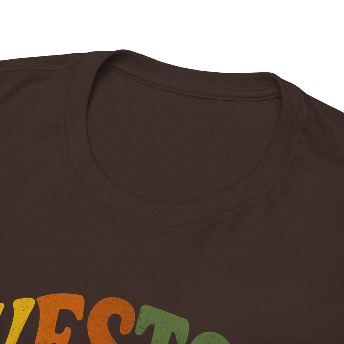Retro-Inspired Unisex Heavy Cotton Tee - Perfect for Casual Outings, Gifts, and Everyday Wear, Vintage Style, Graphic Tee, Comfortable Shirt