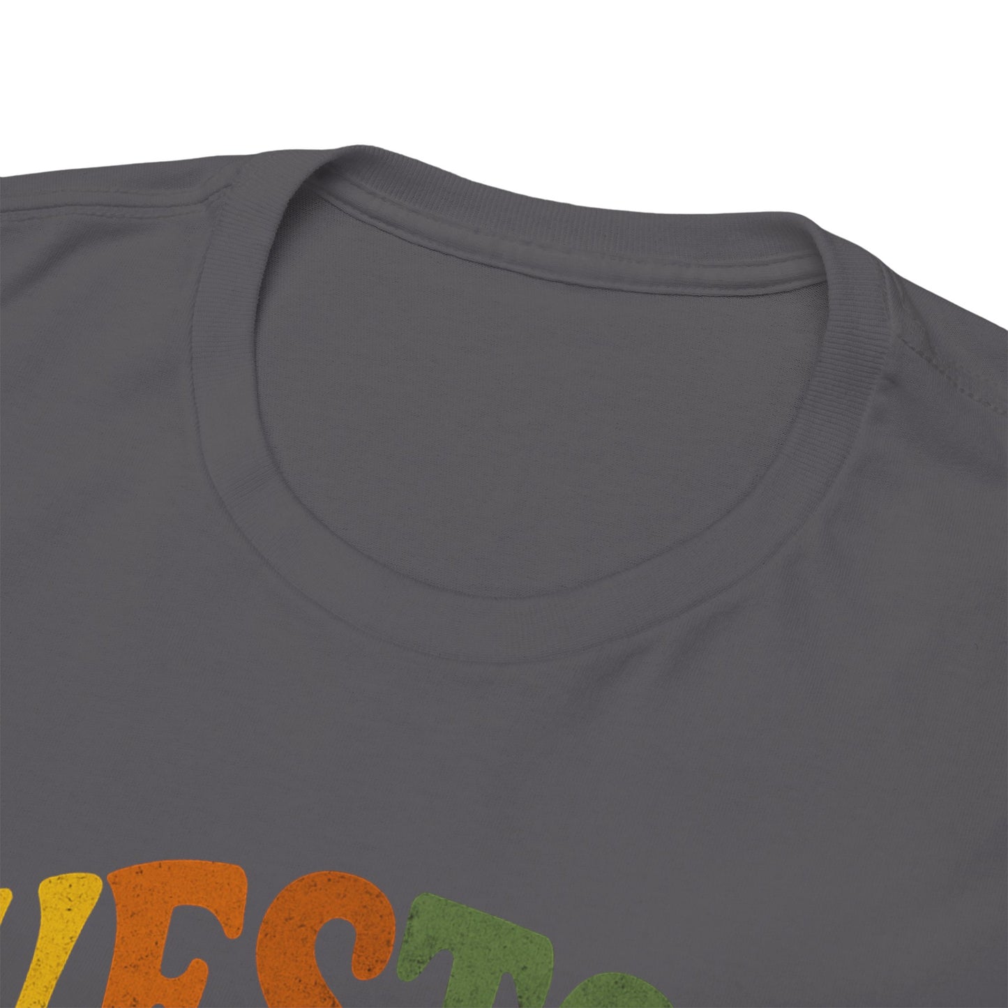Retro-Inspired Unisex Heavy Cotton Tee - Perfect for Casual Outings, Gifts, and Everyday Wear, Vintage Style, Graphic Tee, Comfortable Shirt