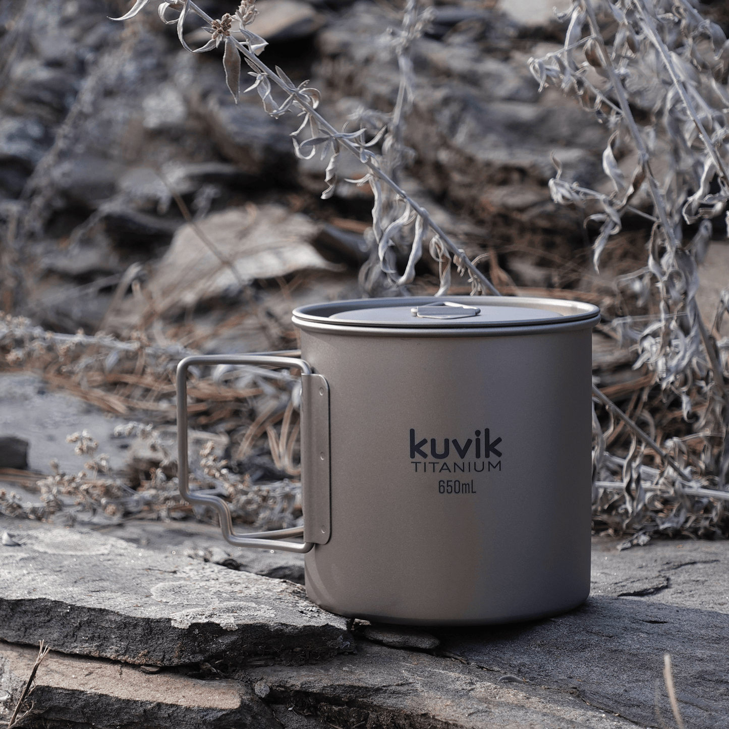Kuvik 650ml Titanium Pot