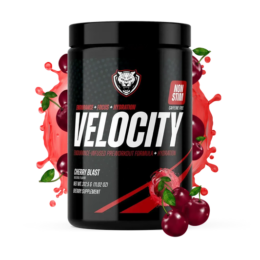 VELOCITY
