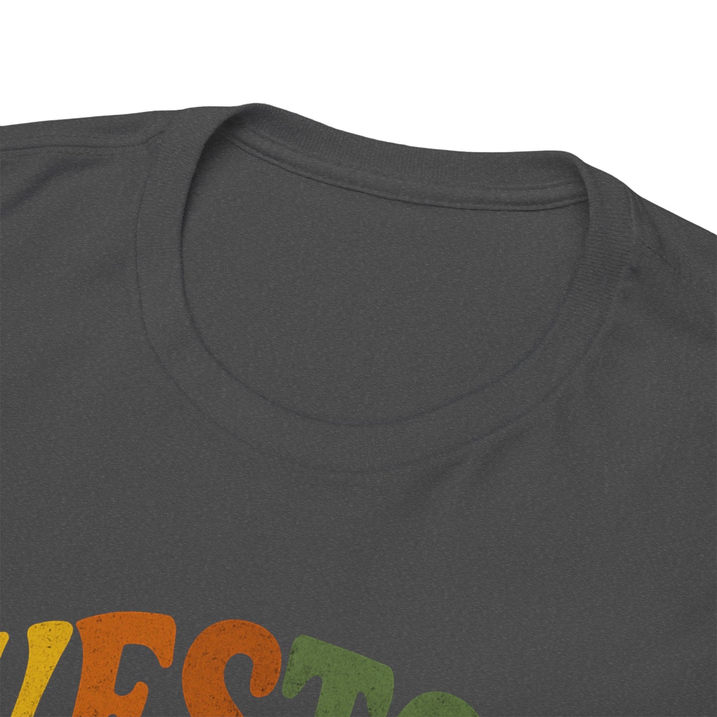 Retro-Inspired Unisex Heavy Cotton Tee - Perfect for Casual Outings, Gifts, and Everyday Wear, Vintage Style, Graphic Tee, Comfortable Shirt