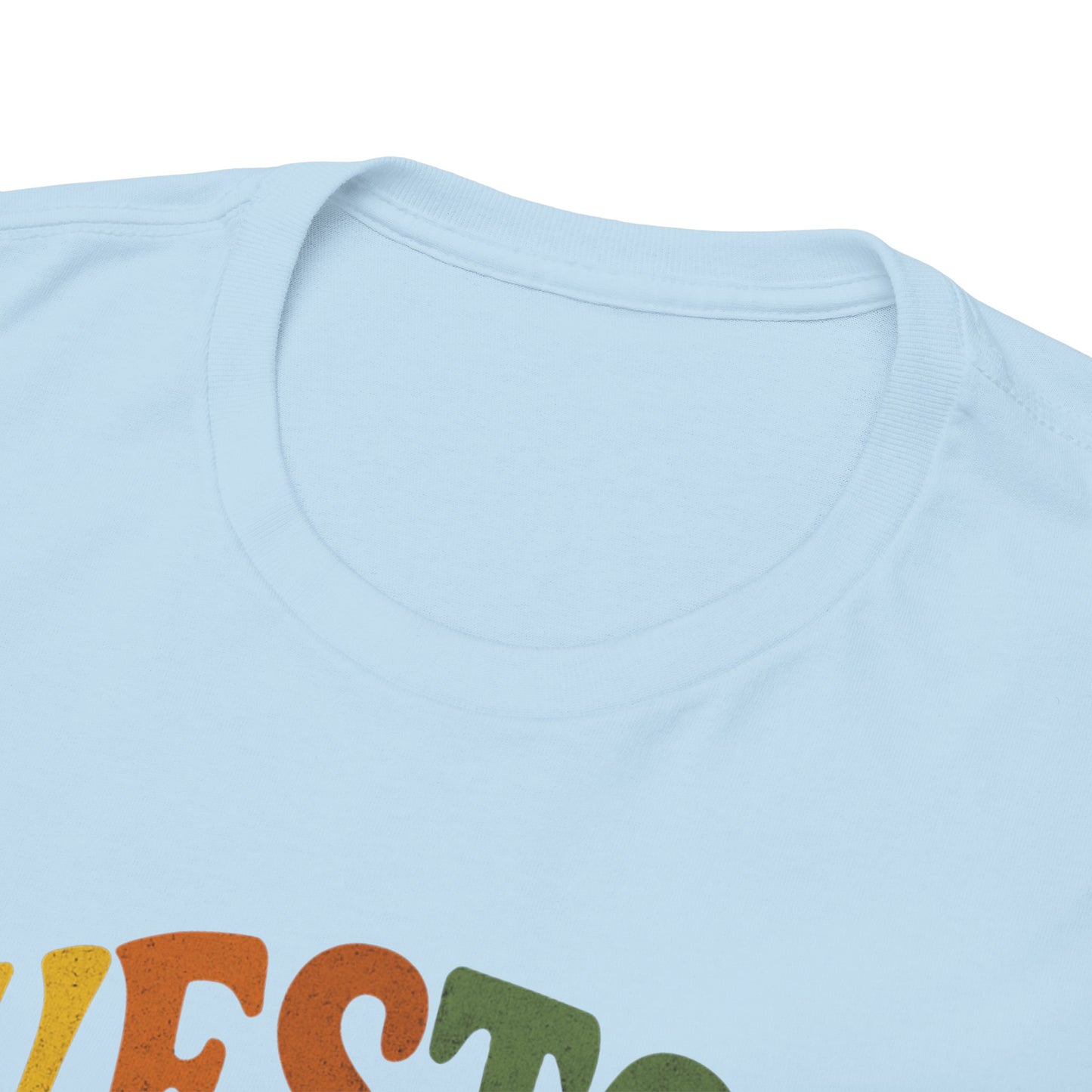 Retro-Inspired Unisex Heavy Cotton Tee - Perfect for Casual Outings, Gifts, and Everyday Wear, Vintage Style, Graphic Tee, Comfortable Shirt